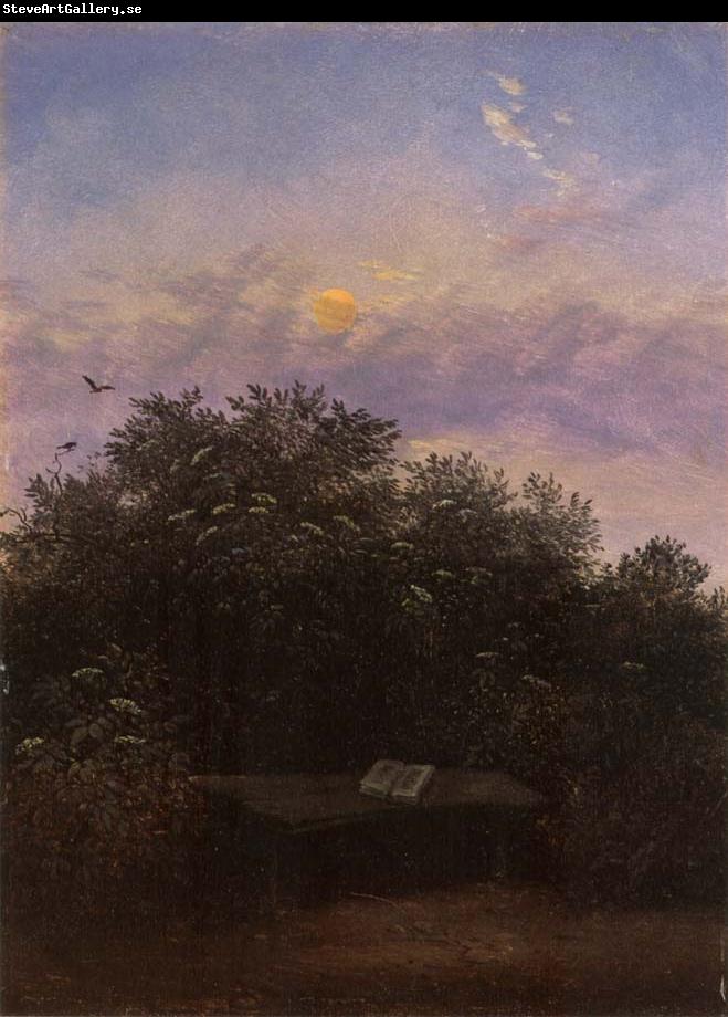 Carl Gustav Carus Blooming Elderberry Hedge in the Moonlight